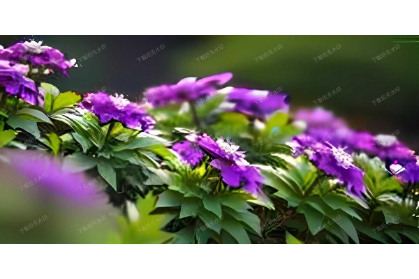 杭州特色按摩馆：深度放松，养生从足底开始(杭州有名的按摩)