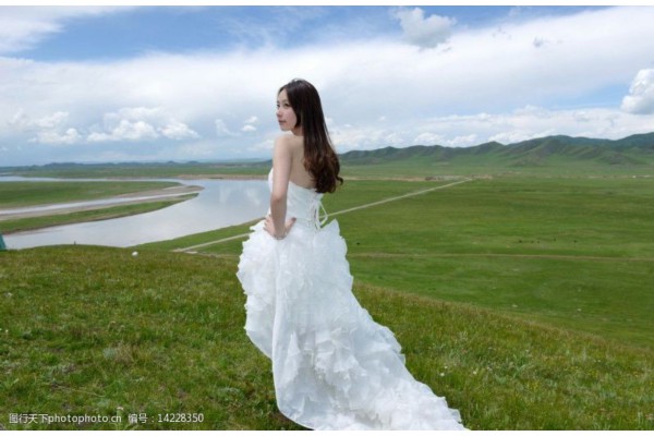 杭州茶叶收藏家联系方式一览